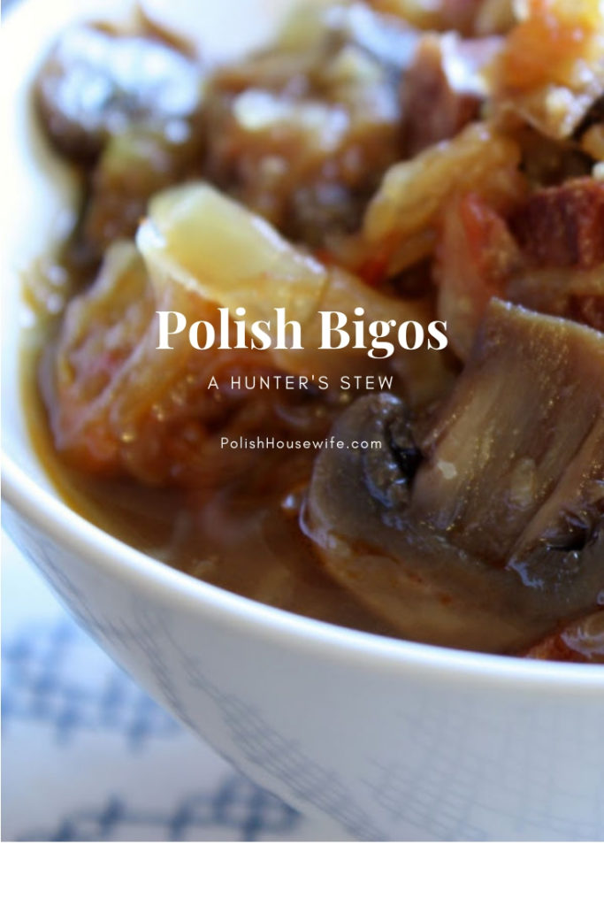 a white bowl filled with bigos, a Polish hunter's stew