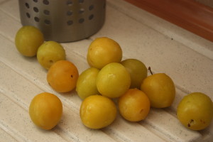 white plums, yellow plums