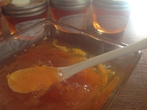 Citrus marmalade with grapefruit, orange and lemon. Easy to make and with lots of ideas on how to use your marmalade!